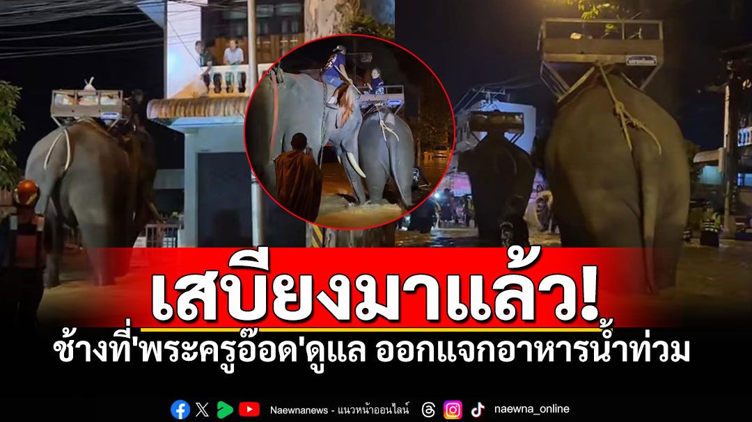 'พระครูอ๊อด'พาช้างลุยน้ำ แจกอาหาร ช่วยผู้ประสบภัย จุดที่เรือ-รถเข้าไม่ถึง