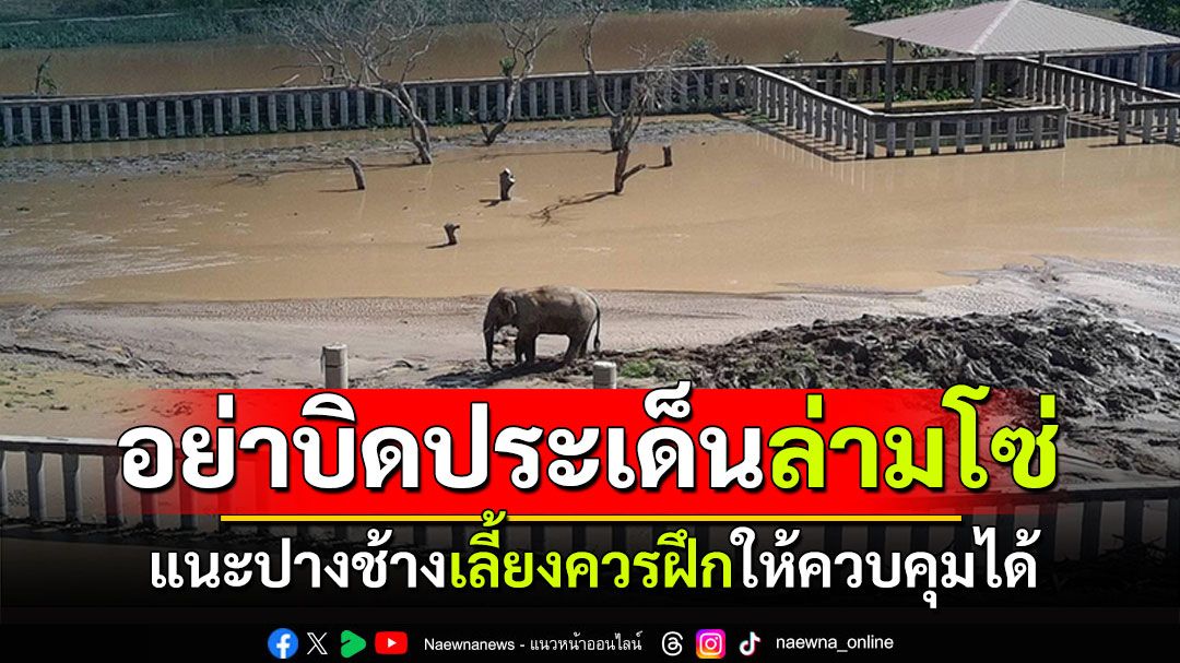 ผู้ประกาศข่าวดังแนะปางช้าง! อย่าบิดประเด็นล่ามโซ่ เลี้ยงควรฝึกให้ควบคุมได้