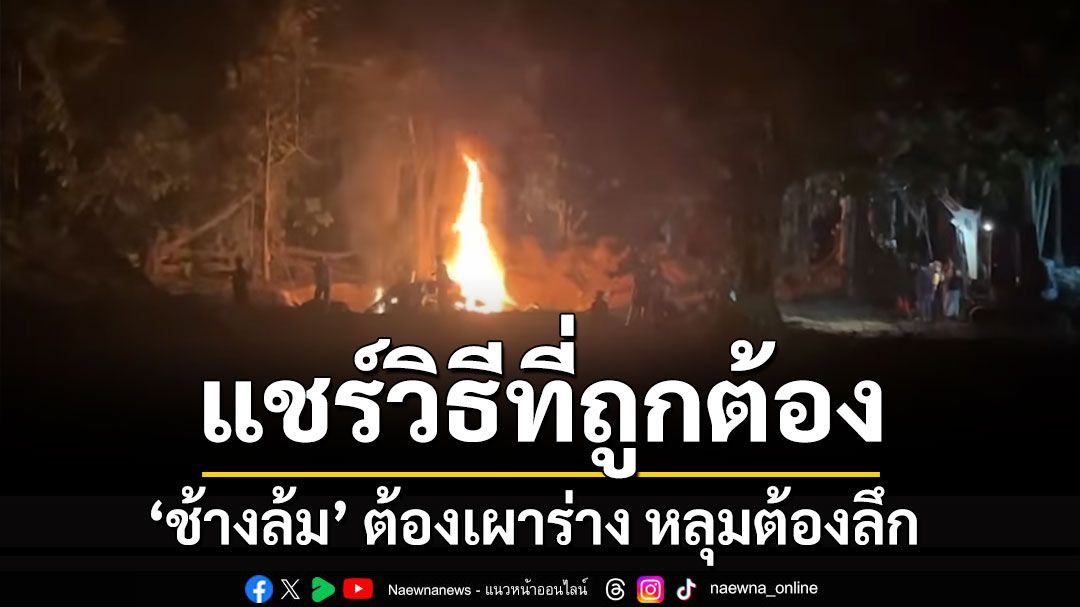 แชร์วิธีที่ถูกต้อง! 'ช้างล้ม' ต้องเผาร่างให้เหลือน้อยที่สุด หลุมต้องลึก