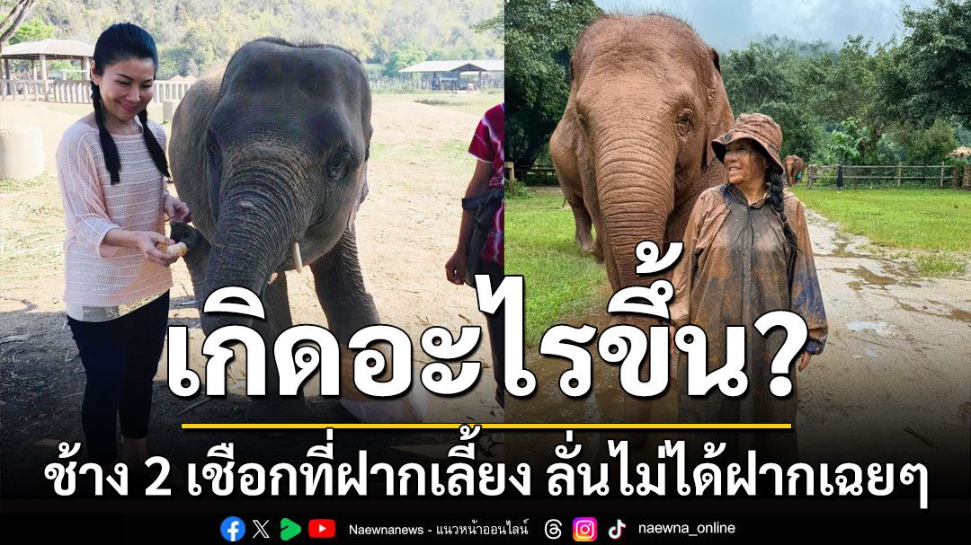 เกิดอะไรขึ้น? 'แสงเดือน-หนูนา' ปมช้าง 2 เชือกที่ฝากเลี้ยง ลั่นไม่ได้ฝากเฉยๆ สนับสนุนทุกอย่าง