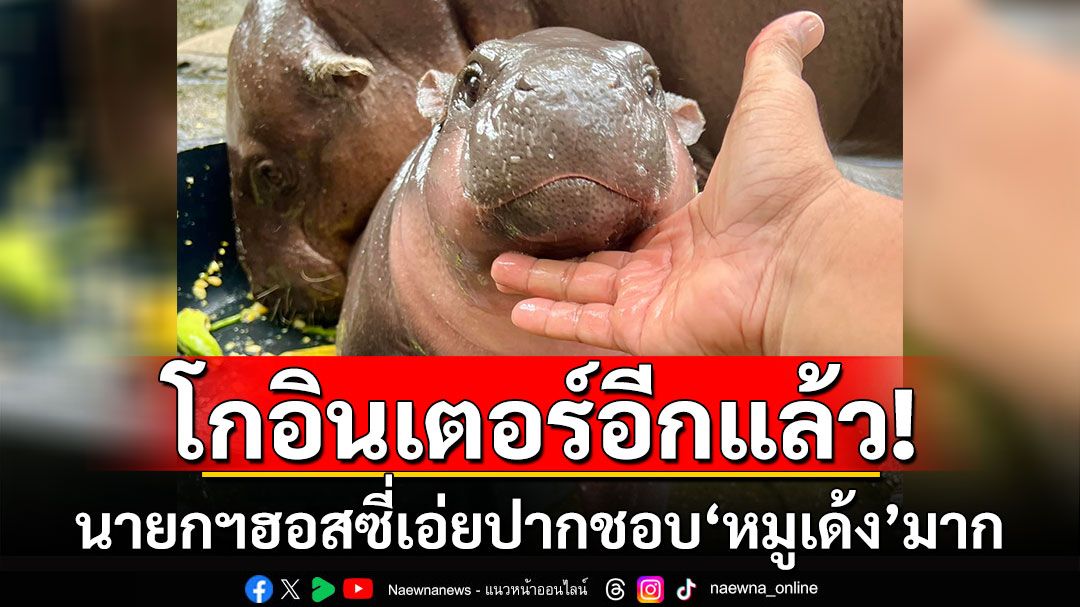 โกอินเตอร์อีกแล้ว! นายกฯฮอสซี่เอ่ยปากชอบ'หมูเด้ง'มาก