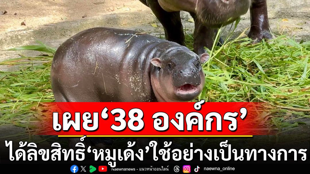 เผย '38 องค์กร' ได้ลิขสิทธิ์ 'หมูเด้ง' ใช้อย่างเป็นทางการ รายได้ช่วยน้ำท่วม-ช่วยเหลือสัตว์