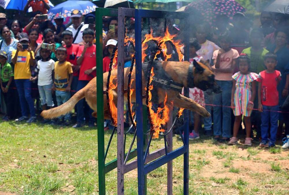 Photo of the week : ภาพเด็ดประจำสัปดาห์