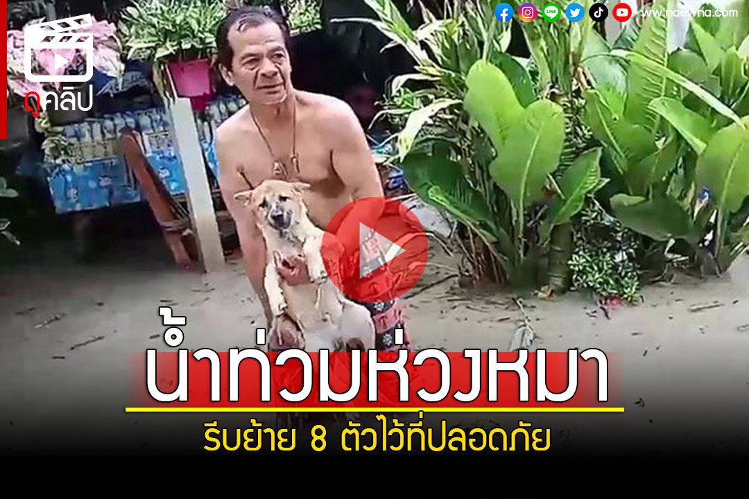 (คลิป) ยอมใจตายาย! น้ำท่วมบ้านไม่หวงเก็บของ รีบย้ายหมา8ตัวไว้ที่ปลอดภัย