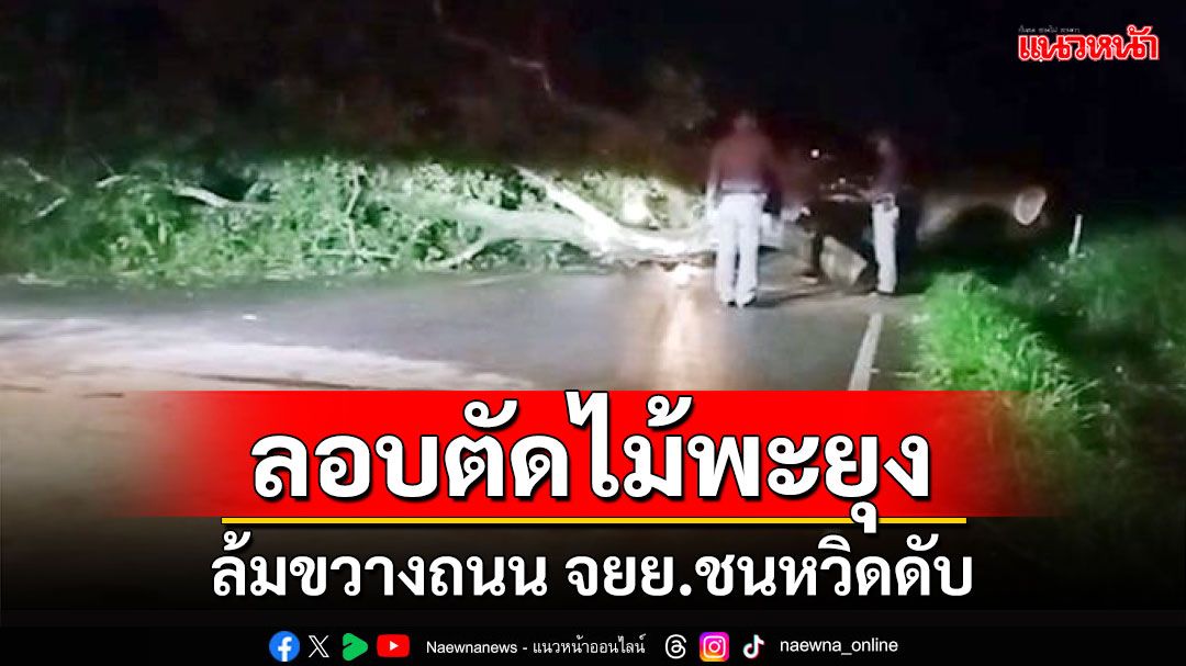 คนร้ายลักลอบตัดไม้พะยุงล้มขวางถนนเขาดิน-เขาชะเมา จยย.ชนหวิดดับ