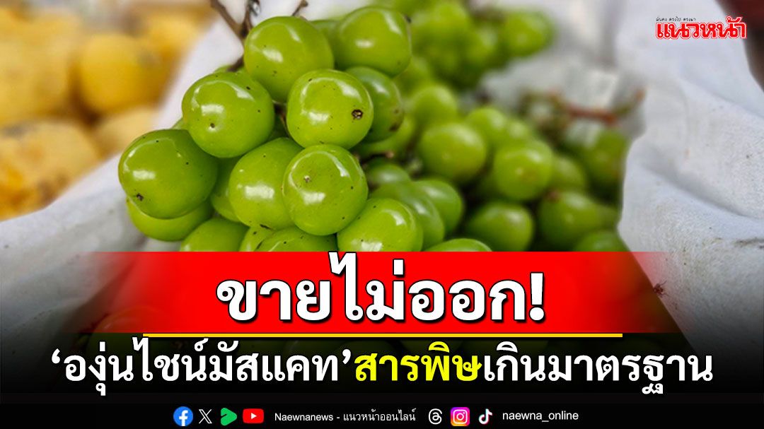 ยอดขายดิ่ง! 'องุ่นไชน์มัสแคท'สารพิษเกินกำหนด พ่อค้าแม่ค้าเดือดร้อน