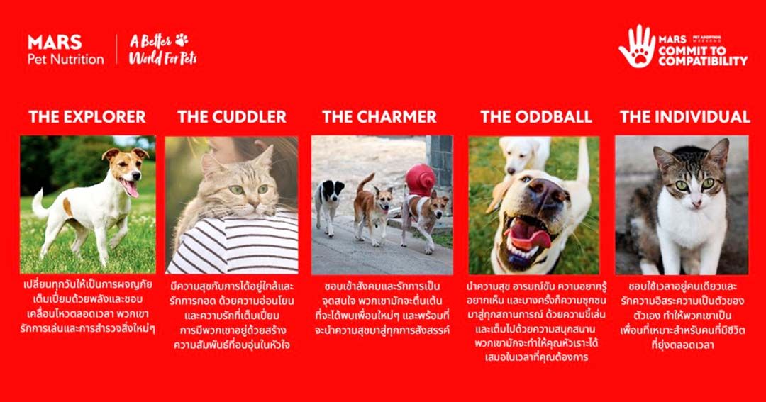 มาร์ส จัดงาน Global Adoption Weekend  เพื่อขับเคลื่อนการรับเลี้ยงสัตว์โดยมุ่งเน้นที่ความเข้ากันได้