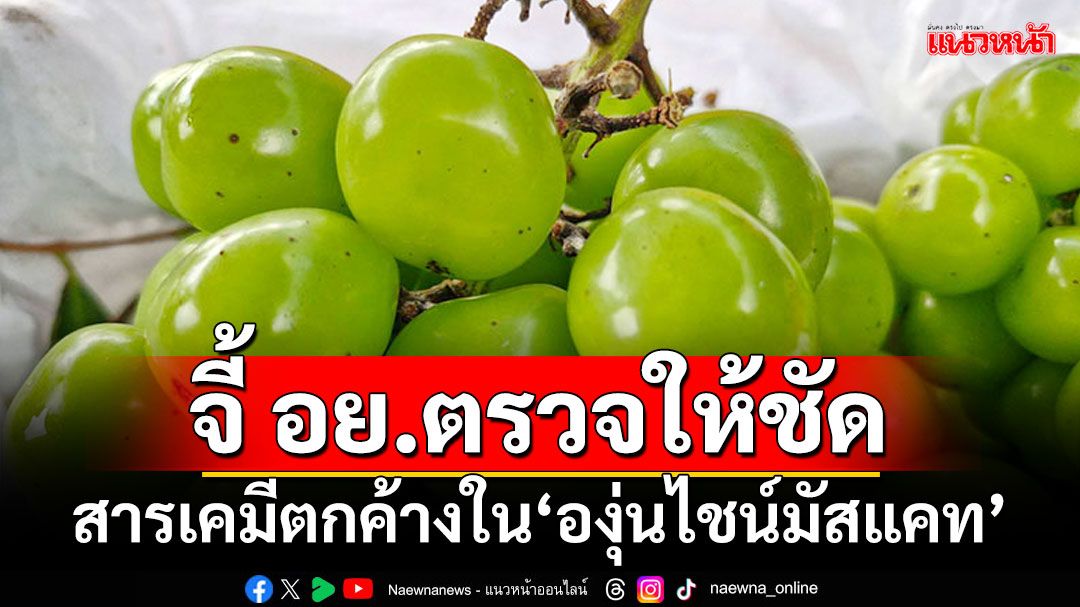 ‘กมธ.เกษตรฯ’จี้ อย.ตรวจให้ชัด สารเคมีตกค้างใน‘องุ่นไชน์มัสแคท’