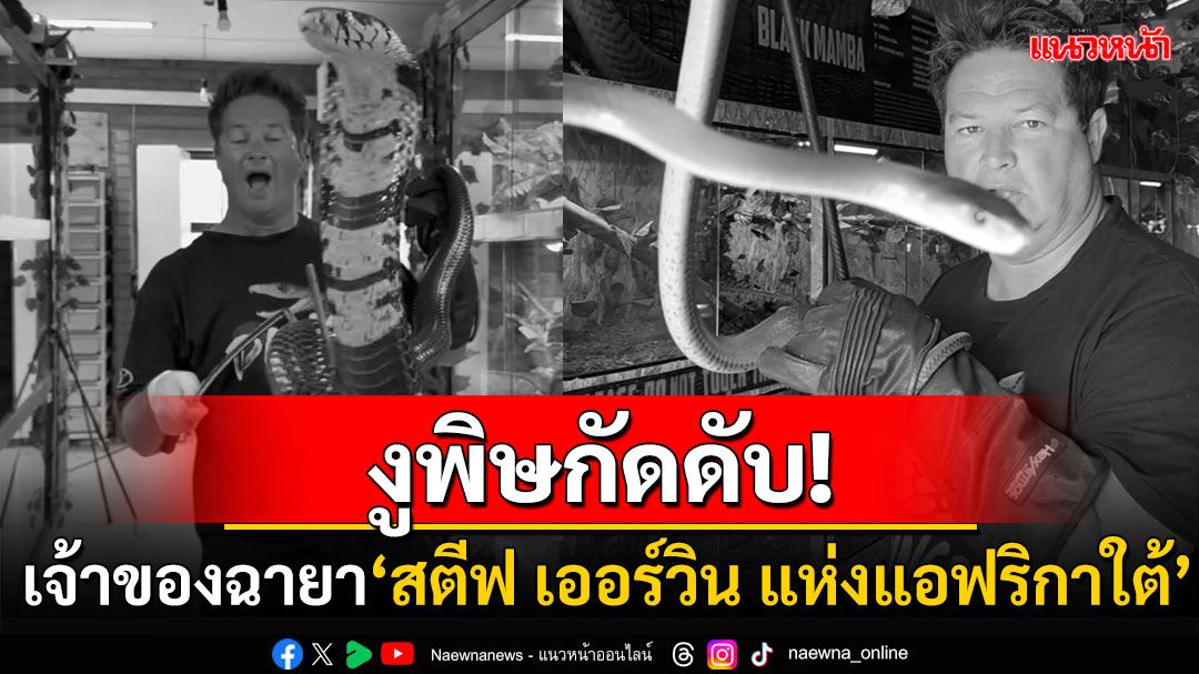 สุดช็อก! 'ดิงโก ดิงเคลแมน'เจ้าของฉายา'สตีฟ เออร์วิน แห่งแอฟริกาใต้' ถูกงูพิษ'กรีนแมมบา'กัดดับ