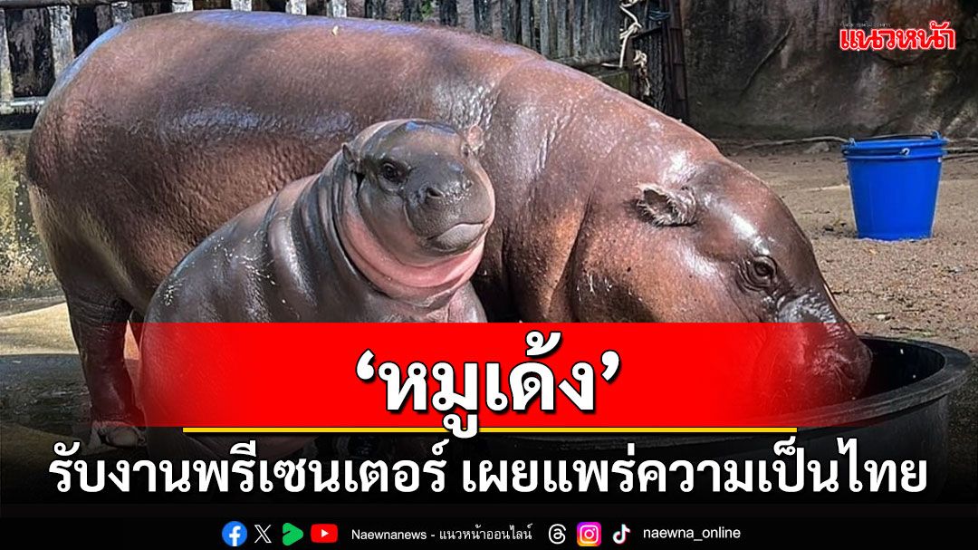 เฮ!'หมูเด้ง'รับงานพรีเซนเตอร์ เผยแพร่ความเป็นไทยงานแรกประเพณีลอยกระทง