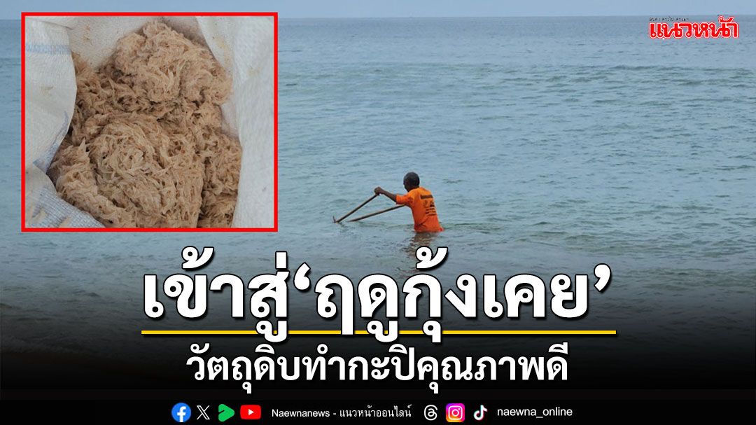 เริ่มแล้ว! 'ฤดูกุ้งเคย'วัตถุดิบทำกะปิคุณภาพดีสร้างรายได้เสริมให้ชาวประมงพื้นบ้าน