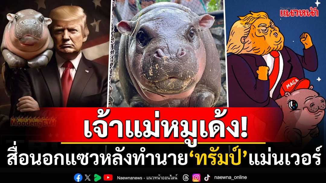 เจ้าแม่หมูเด้ง! ทำนายผู้คว้าชัยเลือกตั้งสหรัฐแม่นเวอร์ สื่อนอกแซวสนั่น'เด้งลูกสาวทรัมป์'