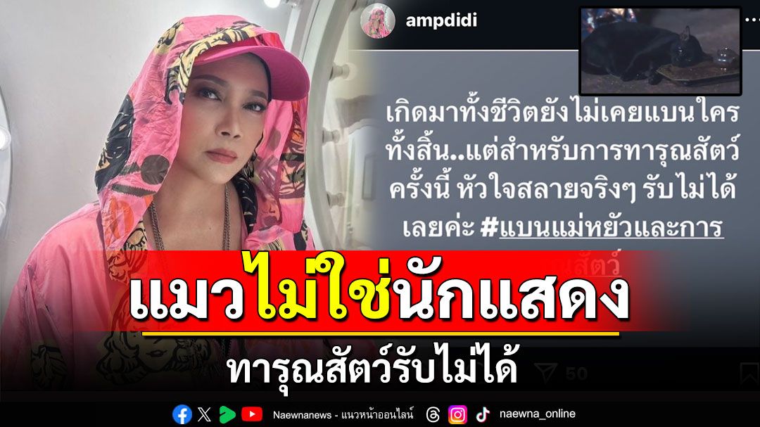 เอาอะไรมาคิด! 'แอม เสาวลักษณ์'ลั่นแมวไม่ใช่นักแสดง ทารุณสัตว์รับไม่ได้