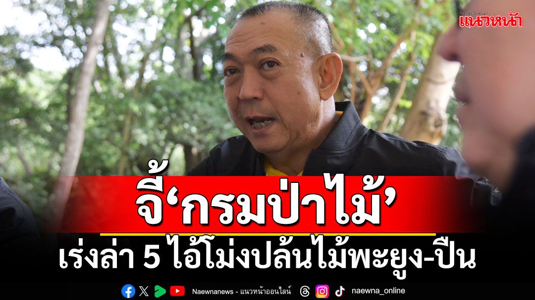 ‘เฉลิมชัย’จี้‘กรมป่าไม้’ เร่งประสาน ตร.ล่า 5 ไอ้โม่งปล้นไม้พะยูง-ปืน