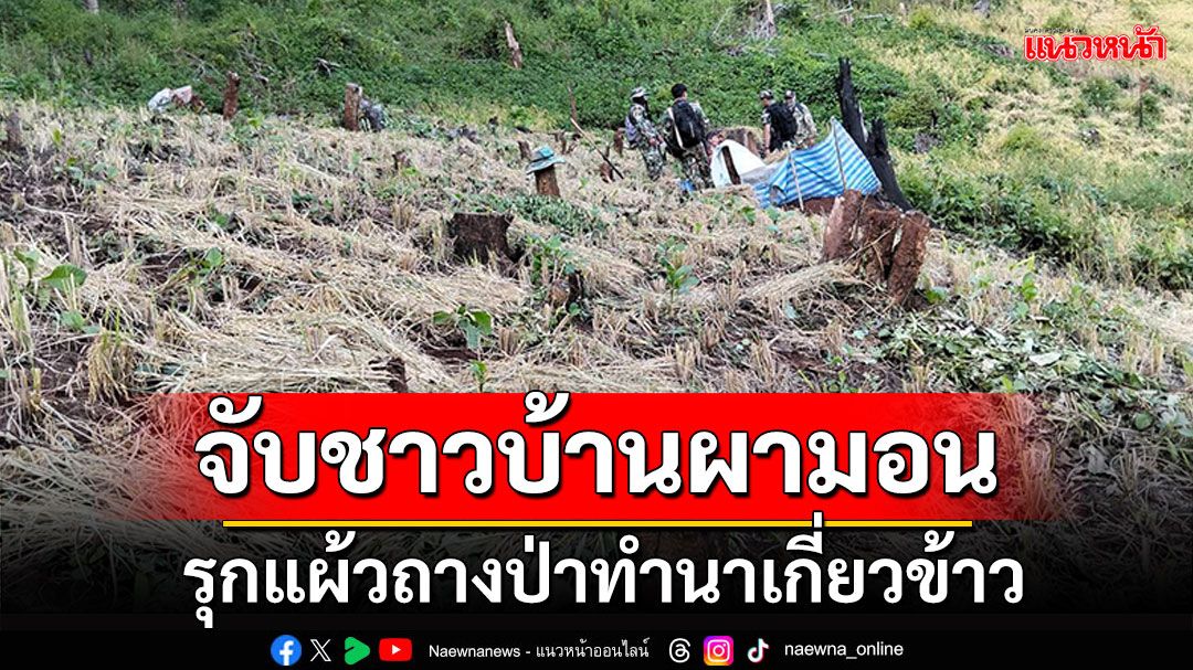 จับชาวบ้านผามอน ลอบรุกแผ้วถางป่าอุทยานฯ ทำนาเกี่ยวข้าว