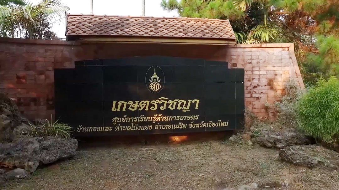 'เกษตรวิชญา' สืบสาน รักษา และต่อยอด ในการพัฒนาการเกษตรอย่างยั่งยืน