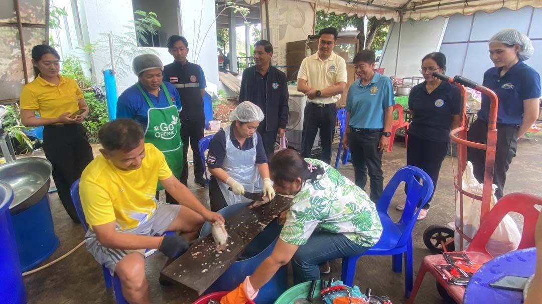 ‘สมุทรสงคราม’ผุดไอเดียเด็ด จัดการ‘ปลาหมอคางดำ’ครบวงจร สร้างรายได้ให้ชุมชน