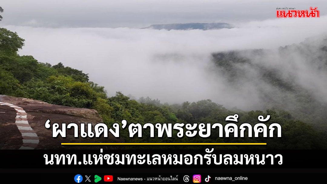 จุดชมวิว'ผาแดง'บนอุทยานแห่งชาติตาพระยาคึกคัก นทท.แห่ชมทะเลหมอกรับลมหนาว