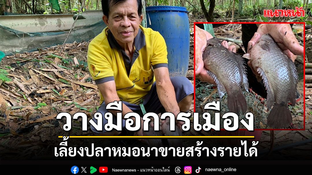 คุณตาอดีตนายก อบต.วัย 78 ปีวางมือการเมืองเลี้ยงปลาหมอนาขายสร้างรายได้