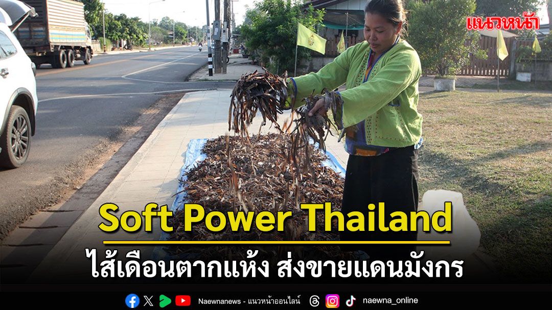 ไส้เดือนตากแห้ง Soft Power Thailand ส่งขายแดนมังกรโกยเงินปีละกว่า 100 ล้าน