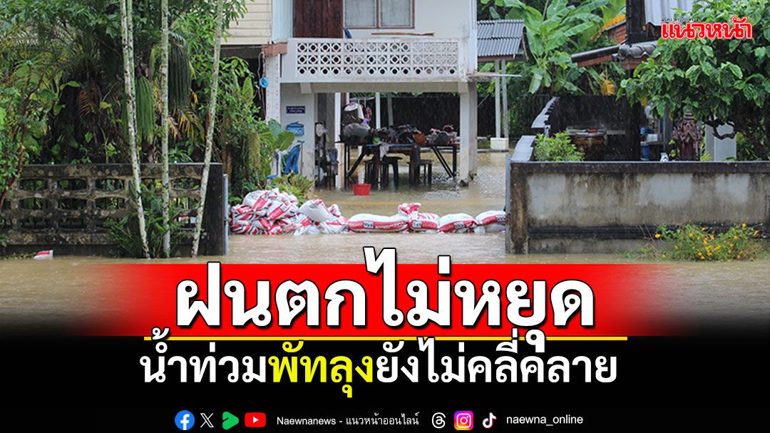 'พัทลุง'ฝนตกหนักต่อเนื่อง สถานการณ์น้ำท่วมยังไม่คลี่คลาย (ภาพชุด)