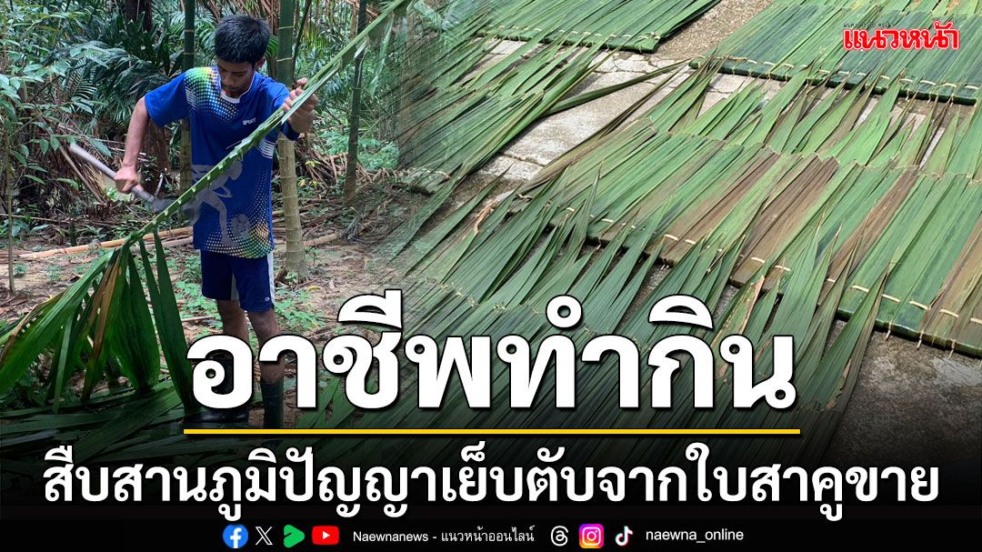 อาชีพทำกิน! สืบสานภูมิปัญญาเย็บตับจากใบสาคูขาย แข็งแรงทนทาน