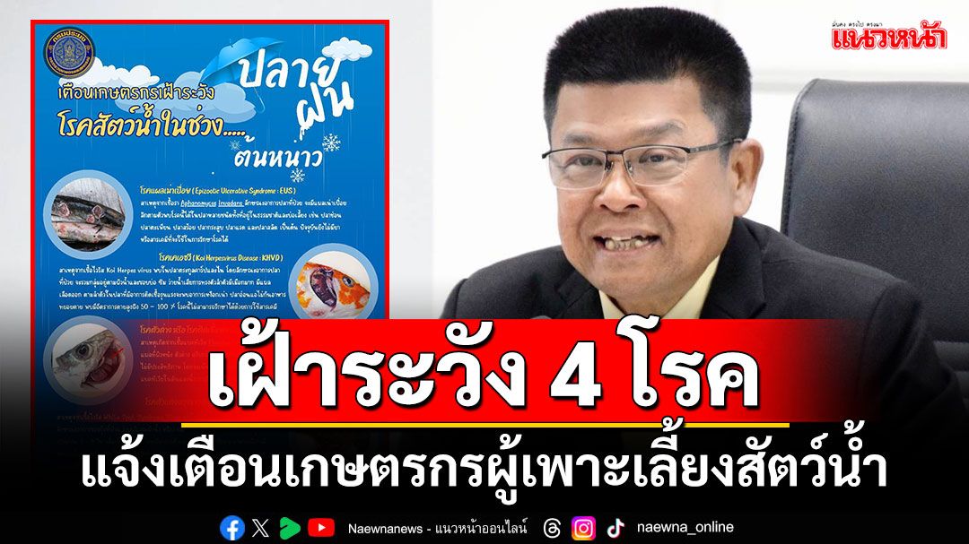 'กรมประมง'แจ้งเตือนเกษตรกรผู้เพาะเลี้ยงสัตว์น้ำ เฝ้าระวัง 4 โรค ช่วงปลายฝนต้นหนาว