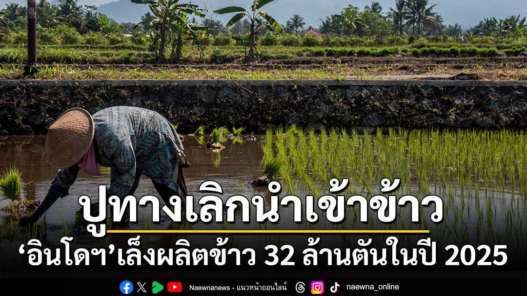 'อินโดฯ'เล็งผลิตข้าว 32 ล้านตันในปี 2025 ปูทางเลิกนำเข้าข้าว