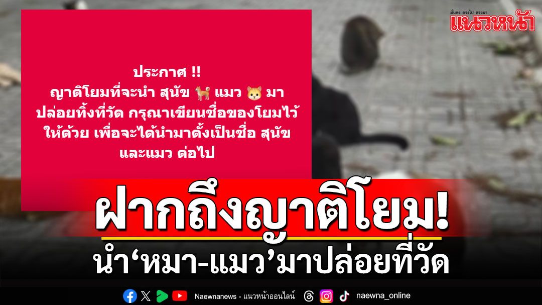 'หลวงพี่'ฝากถึงญาติโยม นำ'หมา-แมว'มาปล่อย กรุณาเขียนชื่อโยมให้ด้วย?