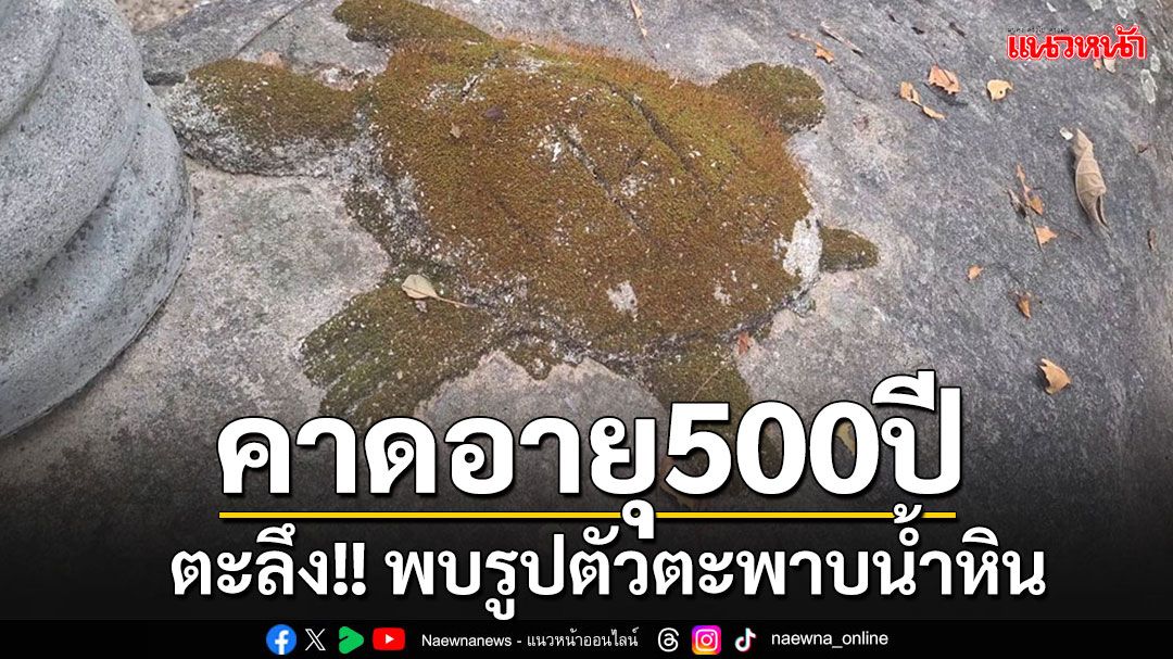 ตะลึง!! พบรูปตัวตะพาบน้ำหินอายุกว่า 500 ปี บนก้อนหินใหญ่วัดดังพะเยา