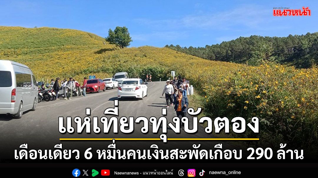 เดือนเดียวทุ่งบัวตองมีนักท่องเที่ยวเยี่ยมชมเกือบ 6 หมื่นคนเงินสะพัดเกือบ 290 ล้าน