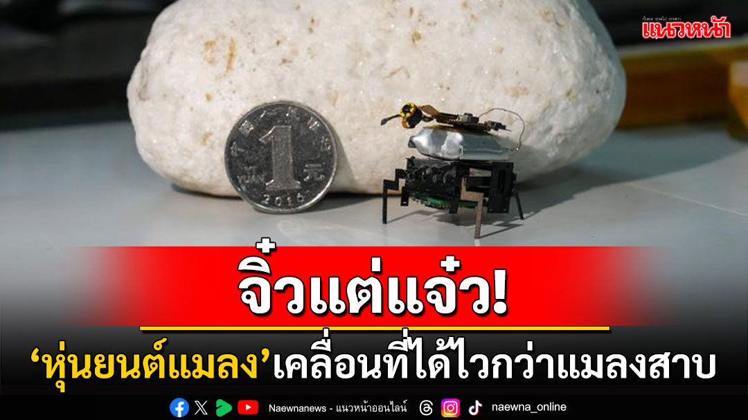 จิ๋วแต่แจ๋ว! ทีมวิจัยจีนพัฒนา 'หุ่นยนต์แมลง' เคลื่อนที่ไวกว่าแมลงสาบศักยภาพสุดล้ำ