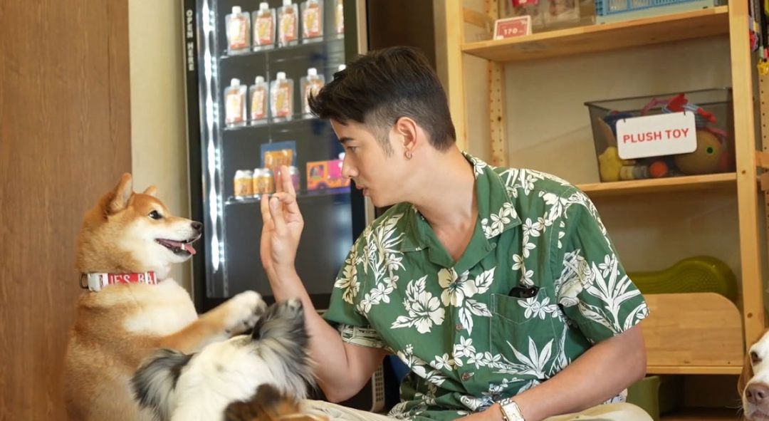 ช่อง 3 เปิดตัวรายการใหม่ ‘Job STAR กว่าจะเป็น...’ ชวน ‘มาริโอ้’ เป็น Dog Trainer ปะทะน้องหมาสุดป่วน