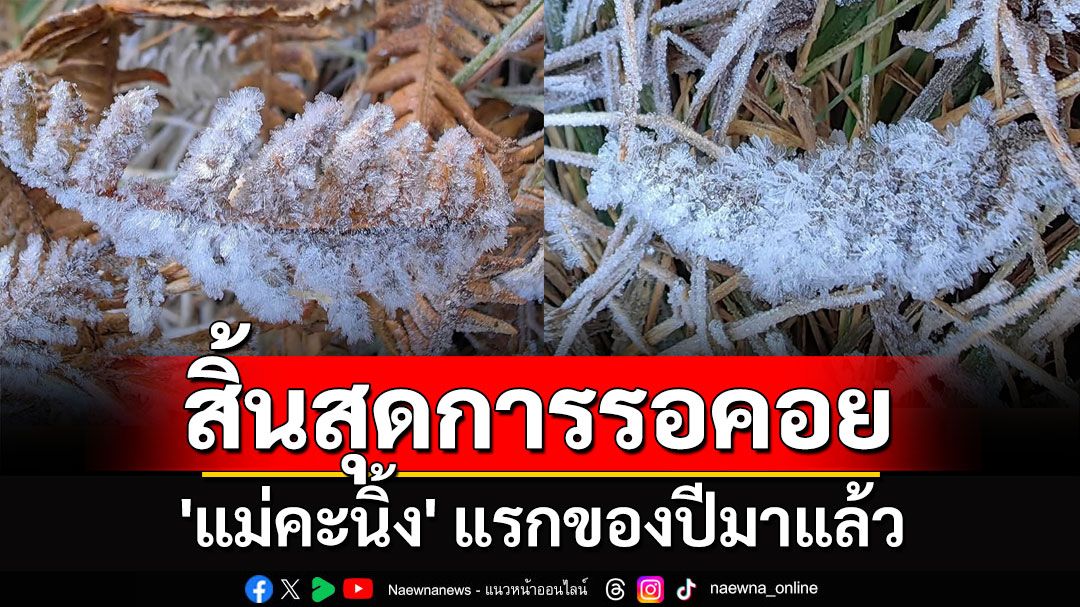 สิ้นสุดการรอคอย! 'แม่คะนิ้ง'แรกของปีมาแล้ว 'กิ่วแม่ปาน'อากาศเย็น 4 องศาฯ