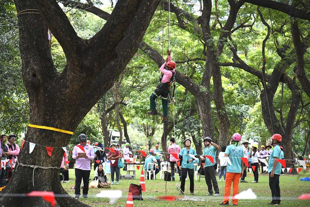 Green Festival 2024 หนุนอาชีพรุกขกรดูแลต้นไม้ใหญ่