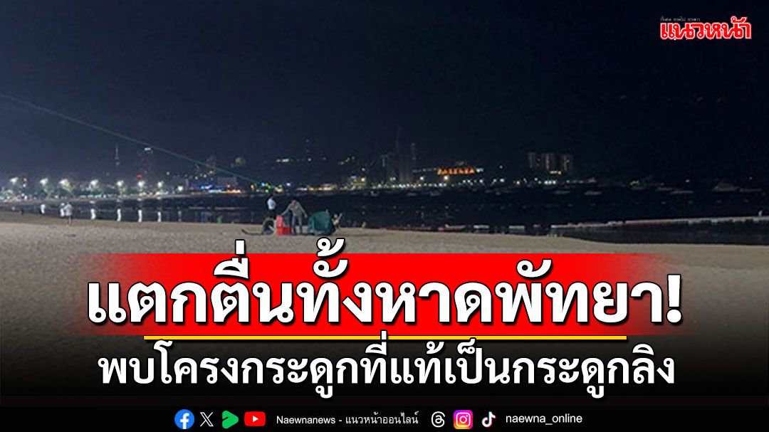 แตกตื่นทั้งหาดพัทยา! พบโครงกระดูกปริศนา ตรวจสอบพบเป็นกระดูกลิง