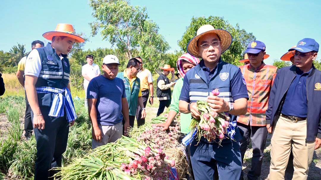 'พาณิชย์'ลงพื้นที่ติดตามหอมแดงศรีสะเกษ พร้อมขนทัพผู้ส่งออก-ผู้ประกอบการเข้าซื้อเต็มสูบ