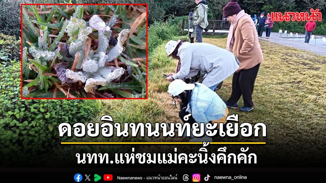 ยอดดอยอินทนนท์หนาวจัดอุณหภูมิลด 6 องศา นทท.แห่ชมแม่คะนิ้งคึกคัก