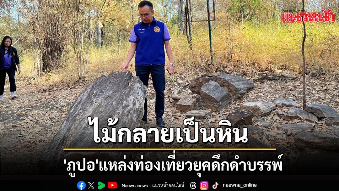 ลุยฟื้นแหล่งไม้กลายเป็นหิน 'ภูปอ' ท่องเที่ยวธรรมชาติยุคดึกดำบรรพ์