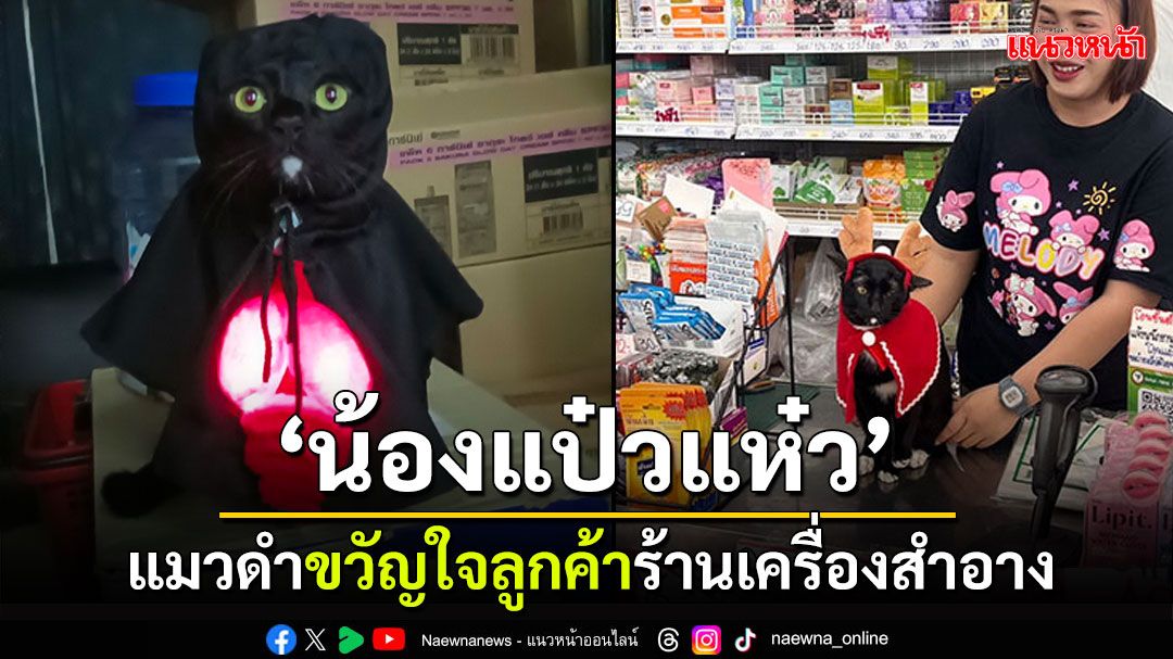 'น้องแป๋วแห๋ว' เหมียวดำแมวเซเลบ ขวัญใจลูกค้าร้านเครื่องสำอาง