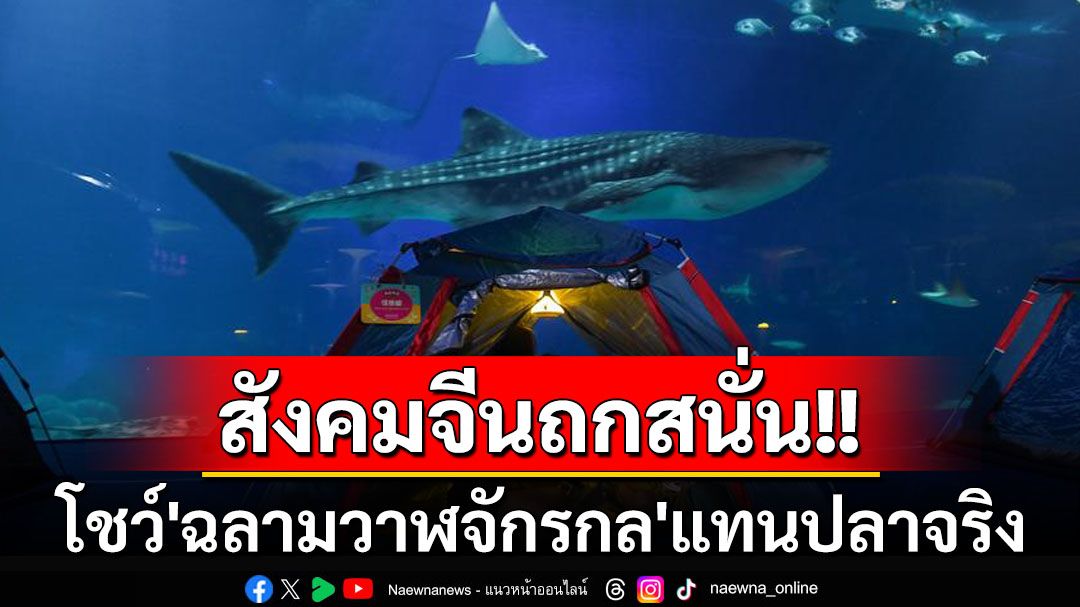 ดรามาที่เมืองจีน! พิพิธภัณฑ์สัตว์น้ำใช้'หุ่นยนต์ฉลามวาฬ'โชว์นักท่องเที่ยวแทนของจริง