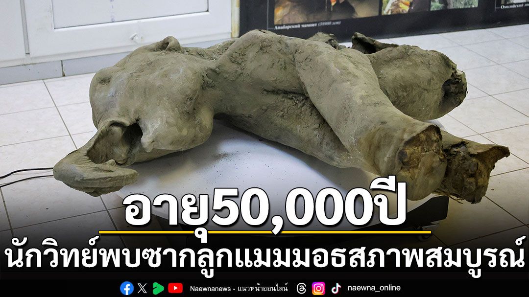 นักวิทย์พบซากลูกแมมมอธอายุ 50,000 ปี สภาพสมบูรณ์ที่สุดในโลก