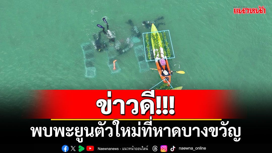 ข่าวดี! พบพะยูนตัวใหม่ที่หาดบางขวัญ เร่งปลูกหญ้าทะเล​เพิ่มแหล่งอาหาร