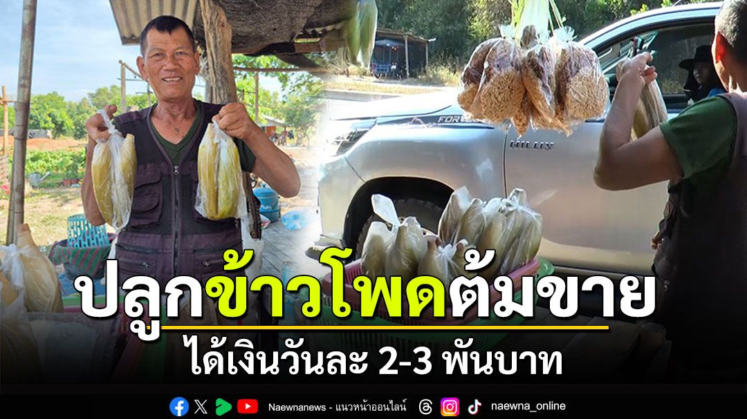 ชาวบ้านปลูกข้าวโพด ต้มขายริมถนน ได้เงินวันละ 2-3 พันบาท