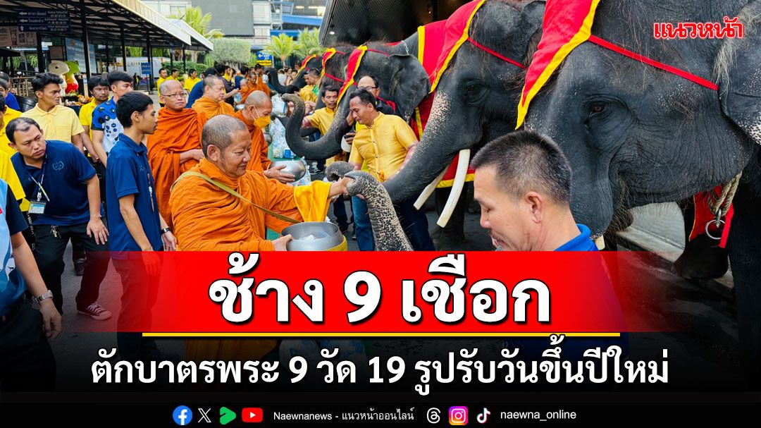 สวนนงนุชพัทยานำช้าง 9 เชือกทำบุญตักบาตรพระ 9 วัด 19 รูป รับวันขึ้นปีใหม่