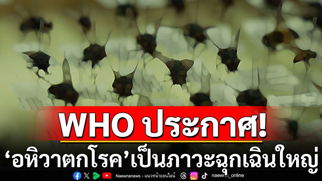 WHO ประกาศ'อหิวาตกโรค'เป็นภาวะฉุกเฉินใหญ่ ไทยยันควบคุมได้แล้วไม่มีผู้ป่วยเพิ่ม