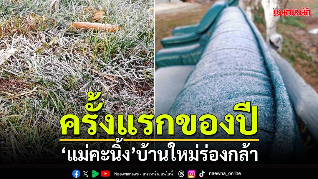 แม่คะนิ้งแรกของปี! ที่บ้านใหม่ร่องกล้า อุทยานแห่งชาติภูหินร่องกล้า