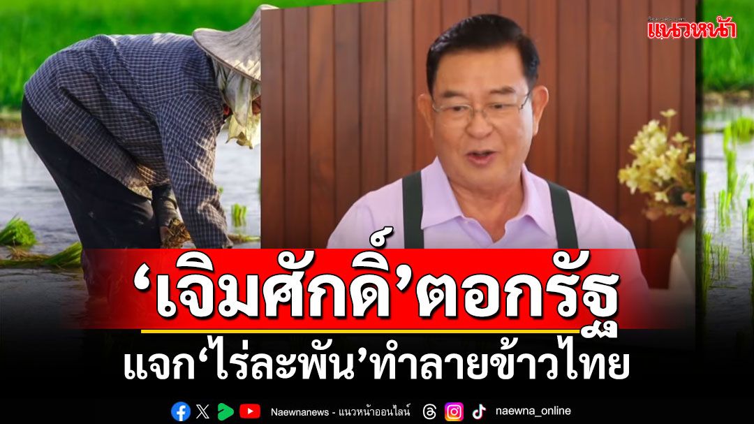 ‘เจิมศักดิ์’ตอกรัฐบาล แจก‘ไร่ละพัน’ทำลายข้าวไทย