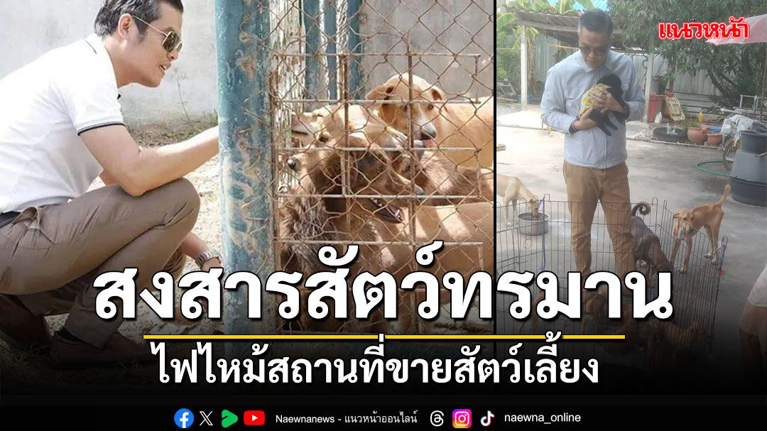 'เลขาTSPCA'เตือนไฟไหม้สถานที่ขายสัตว์เลี้ยง แก้ได้ถ้าจริงใจ-สงสารสัตว์ที่จากไป