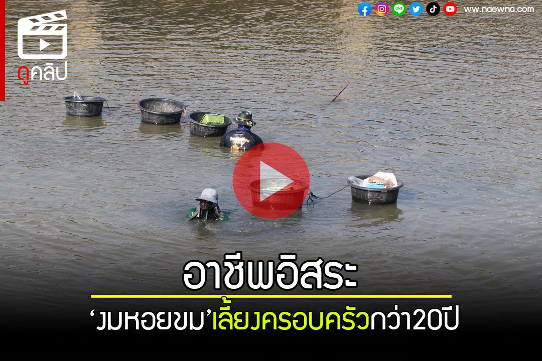 (คลิป) อาชีพอิสระ! 'งมหอยขม'ในคลองสาธารณะ ส่งขายตลาดรายได้ดีกว่า20ปี